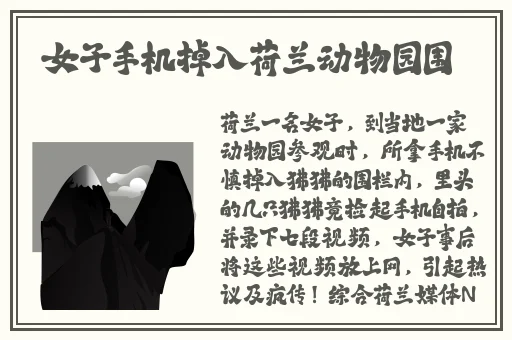 共享儿媳免费阅读